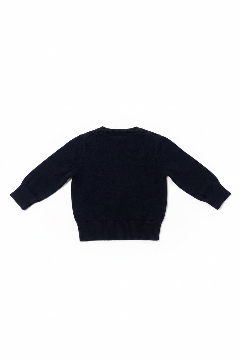 Polo Ralph Lauren stickad tröja, 9 mån